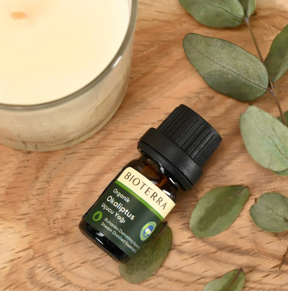 Bioterra Organic Eucalyptus Essential Oil